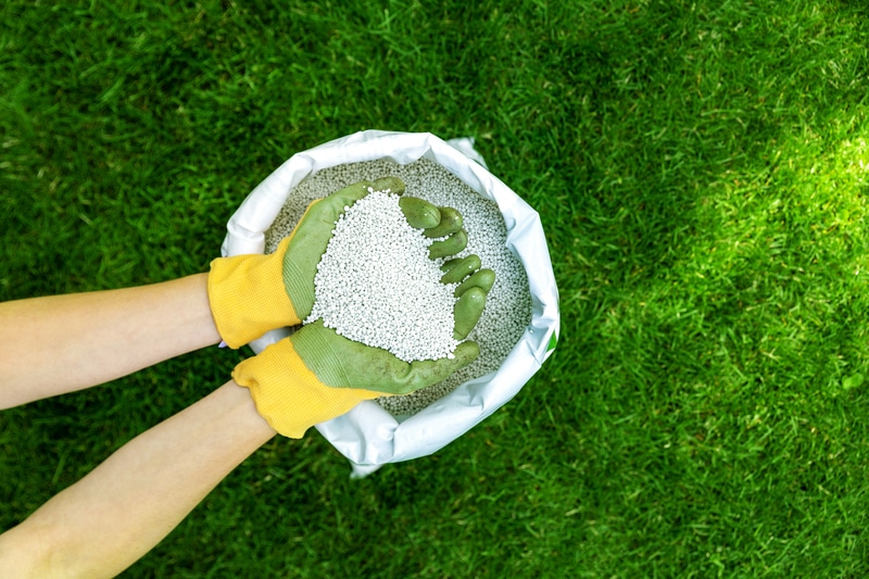 fertilizing your lawn in Oklahoma - Watsons Weed Control