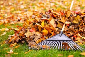 Fall leaves with rake. Pile of fall leaves with fan rake on lawn. Fall Lawn Care - Watson's Weed Control