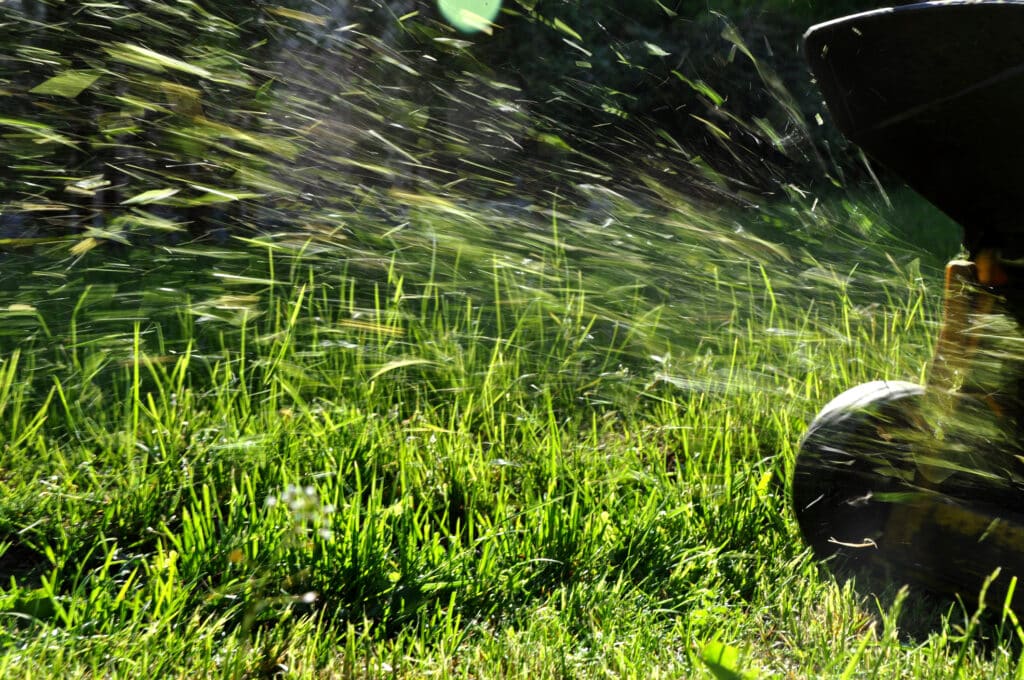 Lawn mowing in summer. Summer lawn care tips - Watson's Weed Control.